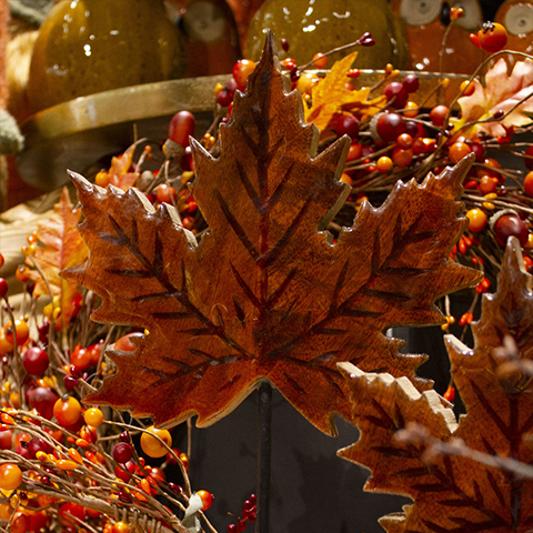 Colored Autumn